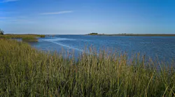 EPA awards $2.55 million for Mid-Atlantic wetland projects