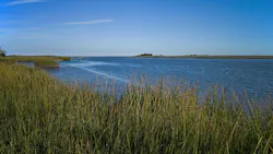 EPA awards $2.55 million for Mid-Atlantic wetland projects