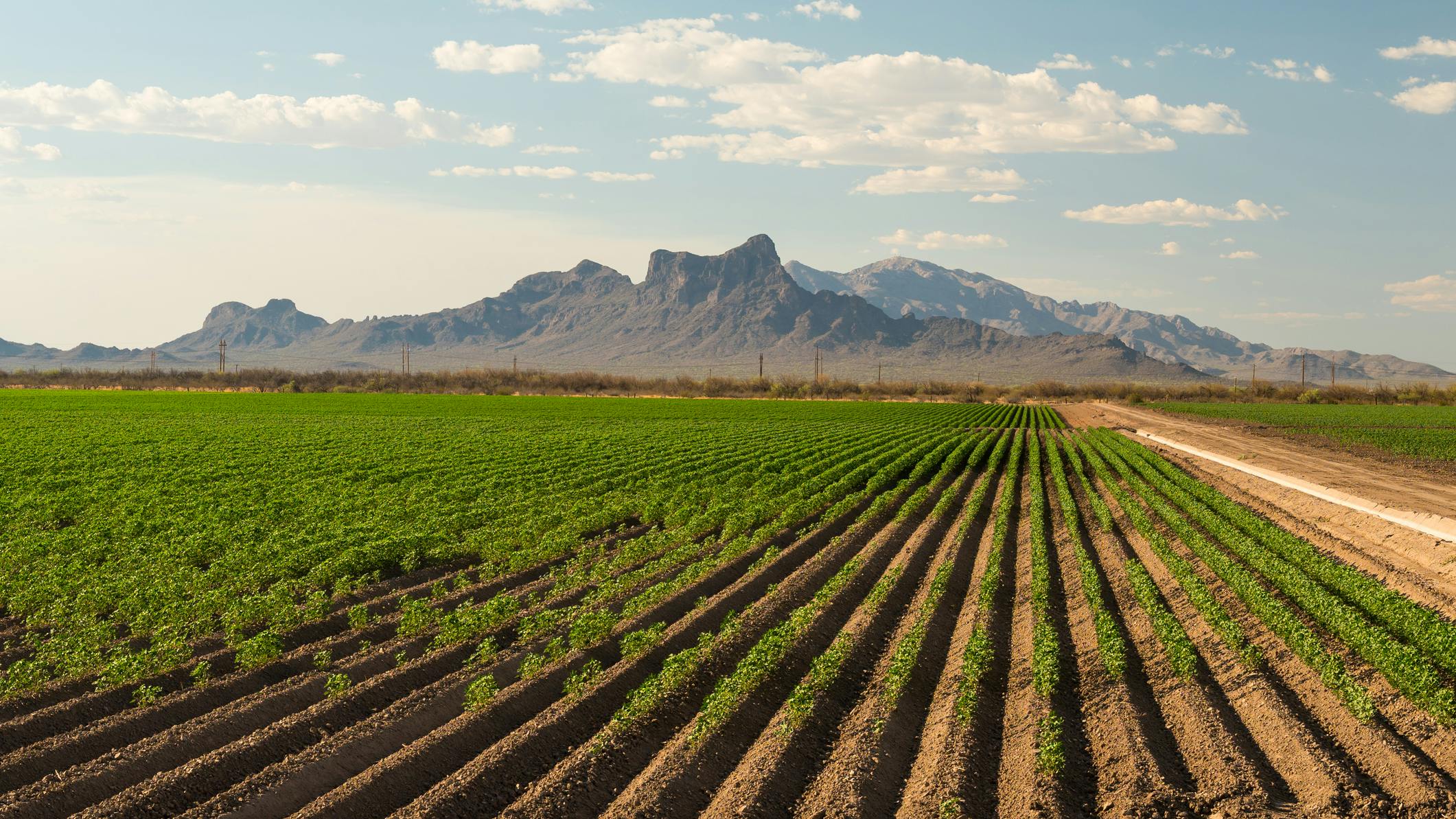 USDA opens Southwest Watershed Research Center in Arizona